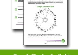 Bill Nye Pollution solutions Worksheet Answers as Well as 45 Best Bill Nye Images On Pinterest