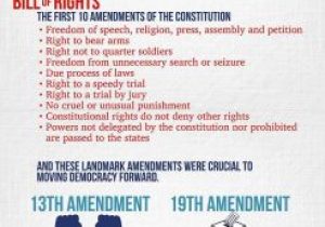 Bill Of Rights Amendments Worksheet as Well as Constitutional solutions to the Grievances Worksheet Fresh 356 Best