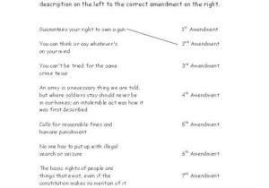 Bill Of Rights Worksheet Answer Key Along with Worksheets 49 Lovely I Have Rights Worksheet Answers Hd Wallpaper