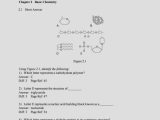 Biochemistry Basics Worksheet Answers Also Ziemlich Anatomy and Physiology Coloring Workbook Answers Chapter 11