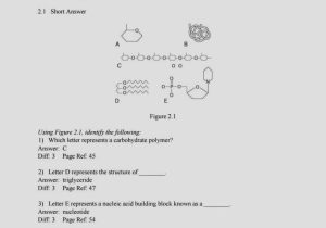 Biochemistry Basics Worksheet Answers Also Ziemlich Anatomy and Physiology Coloring Workbook Answers Chapter 11