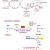 Biochemistry Basics Worksheet Answers and 25 Best Biochemistry Cycles Images On Pinterest