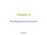 Biogeochemical Cycles Worksheet Answers Along with Ppt Chapter 5 Powerpoint Presentation Id