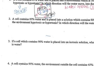 Biogeochemical Cycles Worksheet Answers Also Diffusion and Osmosis Worksheet Answers Beautiful Osmosis An