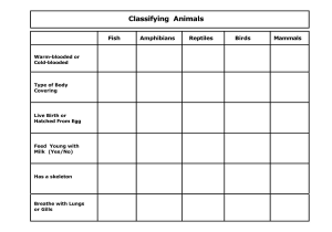 Biological Classification Worksheet with Animals and Young Es Worksheet Worksheet Math for Kids