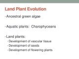 Biological Diversity and Conservation Chapter 5 Worksheet Answers with Chapter 29 & 30 Biological Diversity Of Plants