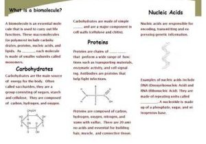 Biological Macromolecules Worksheet with Biological Worksheet Fabulous What are some Findings In Biological