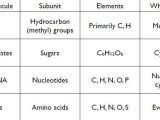 Biological Molecules Worksheet and Worksheets 44 Best Macromolecules Worksheet Full Hd Wallpaper