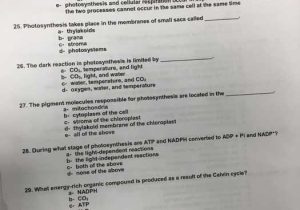 Biology 2.3 Carbon Compounds Worksheet Answers with Biology Archive November 14 2017