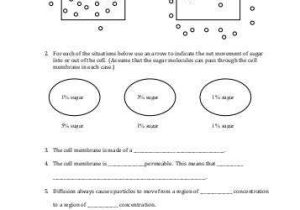 Biology Diffusion and Osmosis Worksheet Answer Key Also Worksheets Wallpapers 43 Re Mendations solving E Step Equations