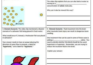 Biology Diffusion and Osmosis Worksheet Answer Key and 27 Best Amoeba Sisters Handouts Images On Pinterest
