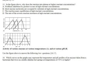 Biology Enzymes Worksheet Answers Along with 26 New Enzyme Graphing Worksheet Answer Key