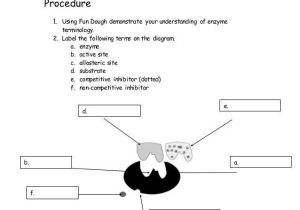 Biology Enzymes Worksheet Answers and Biotechnology Timeline