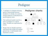 Biology Karyotype Worksheet Answers Along with Human Genetic Disorders Ppt