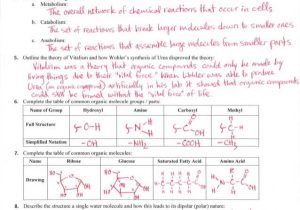 Biomolecule Review Worksheet Along with Biomolecule Worksheet