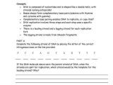 Biomolecule Review Worksheet Also Dna the Molecule Heredity Worksheet New Double Replacement