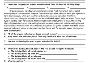 Biomolecule Review Worksheet Also Macromolecules Biochemistry Carbohydrates Proteins Lipids and
