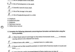 Biomolecule Review Worksheet as Well as Großartig Anatomy and Physiology 1 Worksheet for Tissue Types
