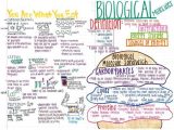 Biomolecules Concept Map Worksheet as Well as 75 Best Biochemistry Macromolecules Images On Pinterest