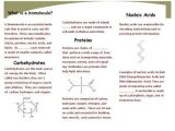 Biomolecules Worksheet Answers together with Biological Worksheet Fabulous What are some Findings In Biological