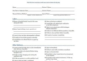 Birth Plan Worksheet Along with 15 Luxury Payment Plan Agreement Template