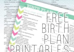 Birth Plan Worksheet Also 1589 Best Birth Midwifery Images On Pinterest