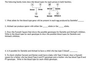 Blood Diamond Worksheet Answers and Biology Archive April 20 2017
