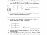 Blood Type and Inheritance Worksheet Answer Key Along with Worksheet Templates Punnett Square Practice Problems Multiple