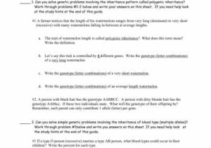 Blood Type and Inheritance Worksheet Answer Key Also Worksheet Template Blood Type Review Worksheet Brad Pitt Blood