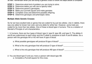 Blood Type and Inheritance Worksheet Answer Key as Well as Guinea Pig Genetics Worksheet What Blood Type is Recessive O Blood