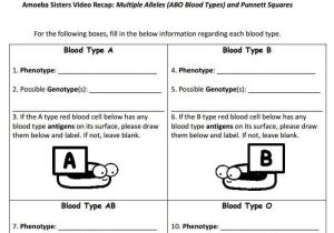 Blood Type and Inheritance Worksheet Answer Key as Well as Multiple Alleles Practice Problems Worksheet Multiple Allele and