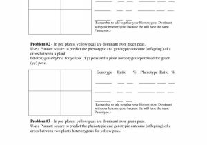Blood Type and Inheritance Worksheet Answer Key together with Best Punnett Square Worksheet New Punnett Square Worksheet 1