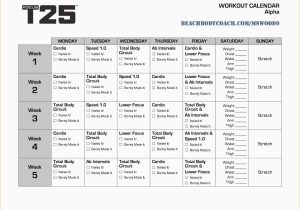 Body Beast Worksheets and P90x3 the Challenge Worksheet