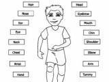 Body Image Worksheets and Parts Of the Body Printable Worksheets Give A Like