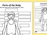 Body Image Worksheets together with Parts the Body Labelling Worksheet Body Parts Body