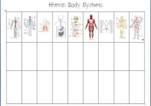 Body Image Worksheets with 467 Best 10 Health Museum Images On Pinterest