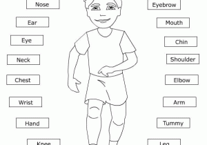 Body Image Worksheets with Parts Of the Body Worksheet Learningenglish Esl
