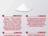 Body Tissues Worksheet Along with This is What Happens to Your Body when You Do Coke Pinterest