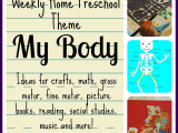 Body Tissues Worksheet Along with Weekly Home Preschool theme My Body Pinterest