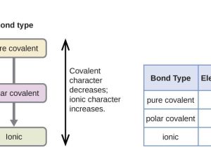 Bonding Basics Ionic Bonds Worksheet Answers Along with 7 2 Covalent Bonding – Chemistry