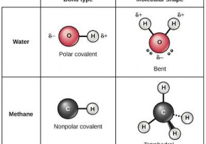 Bonding Basics Ionic Bonds Worksheet Answers Also Ionic Covalent and Metallic Bonds Video