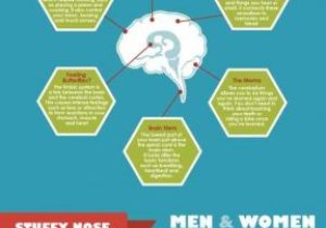 Brain Wrinkles Worksheets as Well as 1019 Best Amazing Brains Images On Pinterest