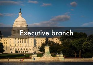 Branches Of Government Worksheet Pdf Also Executive Branch by Karen Almazan