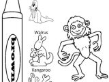 Brown Worksheets for Preschool and 21 Best Preschool & toddler Pumpkinheads Worksheets Images On