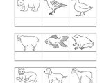 Brown Worksheets for Preschool with 131 Best Colors Images On Pinterest