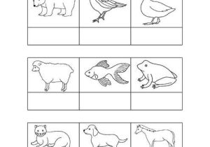 Brown Worksheets for Preschool with 131 Best Colors Images On Pinterest