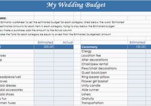 Budget for Teenager Worksheet Along with Google Excel Template