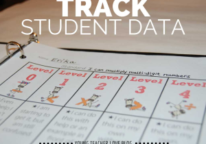 Budgeting Worksheets for Highschool Students Along with How to Implement Student Data Tracking In the Classroom Stud