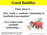 Building Healthy Relationships Worksheets Along with Symbiotic Relationships Worksheet Super Teacher Worksheets