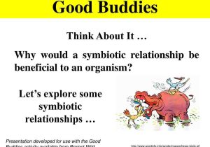 Building Healthy Relationships Worksheets Along with Symbiotic Relationships Worksheet Super Teacher Worksheets
